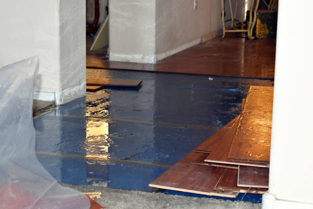 Professional Basement Flood Cleanup technician working in Standish, ME